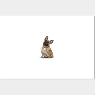 French Bulldog Posters and Art